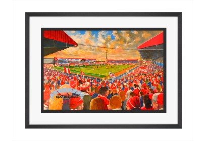 Ayresome Park Stadium Fine Art Print - Middlesbrough FC